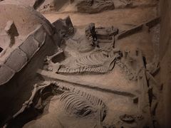 -洛阳周王城天子驾六博物馆