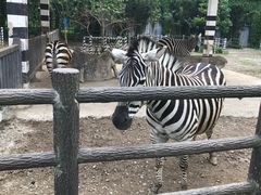 -贵州森林野生动物园