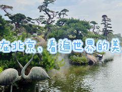 -罗红摄影艺术馆