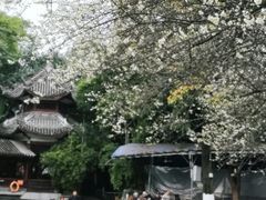 -成都市文化公园