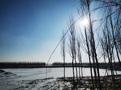 -东方华地城湿地温泉度假区