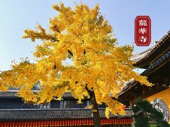 -龙华寺