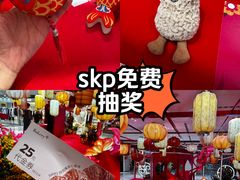 -北京SKP