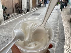 -洪馨椰子
