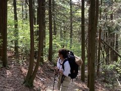 -东白山