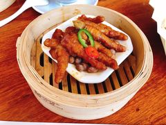 -百利鸽王(紫薇路店)