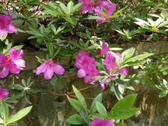 -宁波五龙潭景区