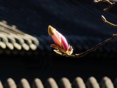 -碑林公园