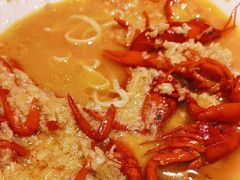 -杨氏青龙虾·羊蝎子(金盛路总店)
