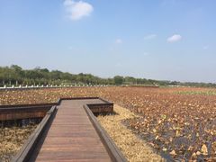 景点-东丽湖风景区