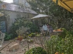 -Jo's Garden