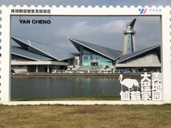 -盐城丹顶鹤湿地生态旅游区