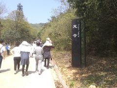 -龙寺生态园