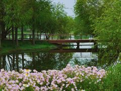 -贡湖湾湿地公园