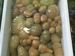 -江杨农产品批发市场