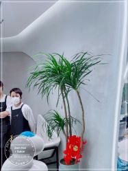 点击看大图 -M造型