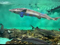 -太平洋海底世界