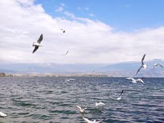 -西昌邛海湿地