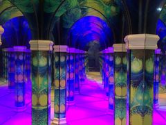 -天津梵高星空艺术馆(天河城旗舰店)