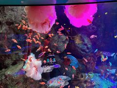 -沈阳海洋探索中心