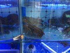 -日照大牌檔•小船海鲜(万平口店)