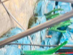 -海合安武汉极地海洋公园