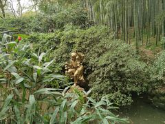 -杭州黄龙洞