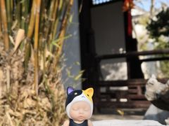 -常熟方塔园