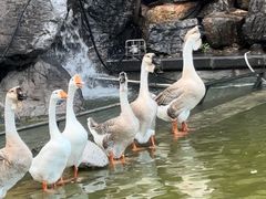 -洛阳市隋唐城遗址植物园