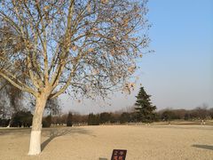 -汉长安城未央宫国家考古遗址公园