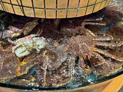 -荔城生鲜盛宴(番禺旗舰店)