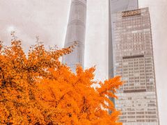 -陆家嘴空中步行连廊