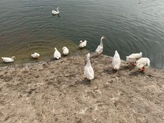 -西安汉城湖景区