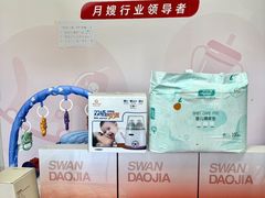-天鹅到家·保姆月嫂育儿嫂(朝阳店)