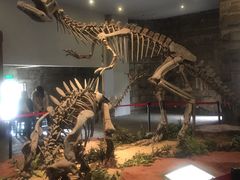 -自贡恐龙博物馆