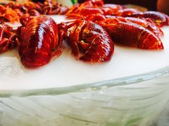 经典冰镇龙虾-红钳侠小龙虾·烧烤(中赢康康谷店)