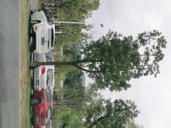 -牛岗山公园