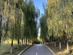 -长白岛森林公园