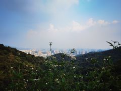 -广州市白云山风景名胜区