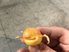 -芳叔(动漫星城店)