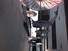 -东山雕花楼