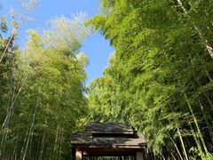-苏州环秀晓筑养生度假村