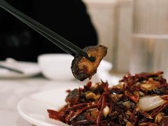 -田记餐馆(富国街店)