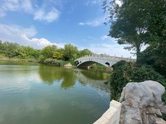 -塘沽森林公园