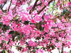 -三块石国家森林公园