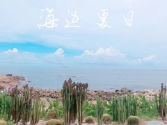 -广东惠东海龟国家级自然保护区
