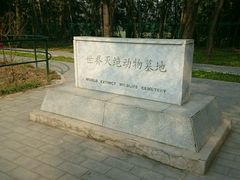 -北京麋鹿生态实验中心