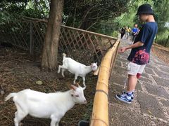 -长兴太湖图影湿地文化园