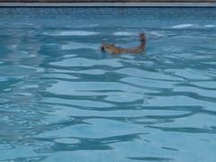 -爪吧宠物乐园 (温榆河示范区店)