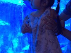 -芜湖新华联大白鲸海洋公园